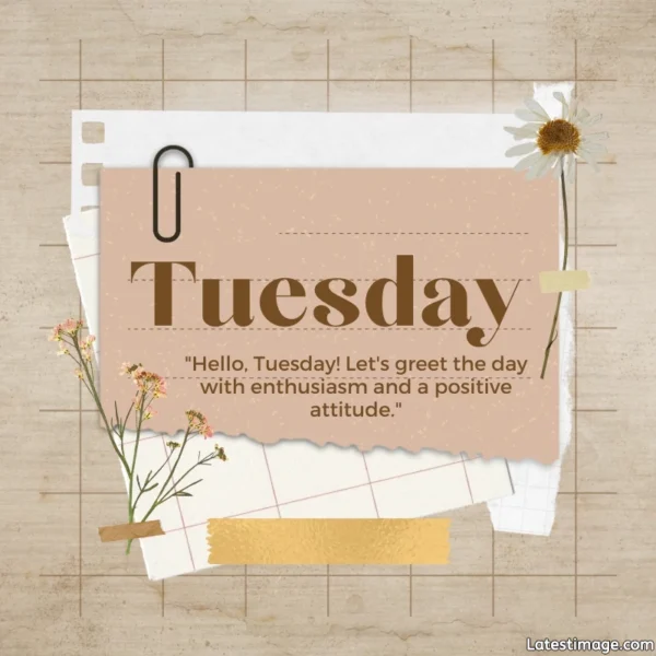 Beautiful Tuesday Morning Quotes HD Image