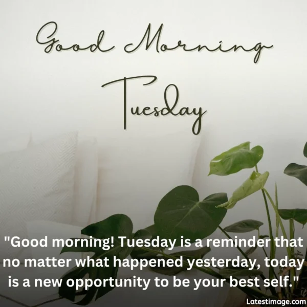 Download Good Morning Tuesday Image