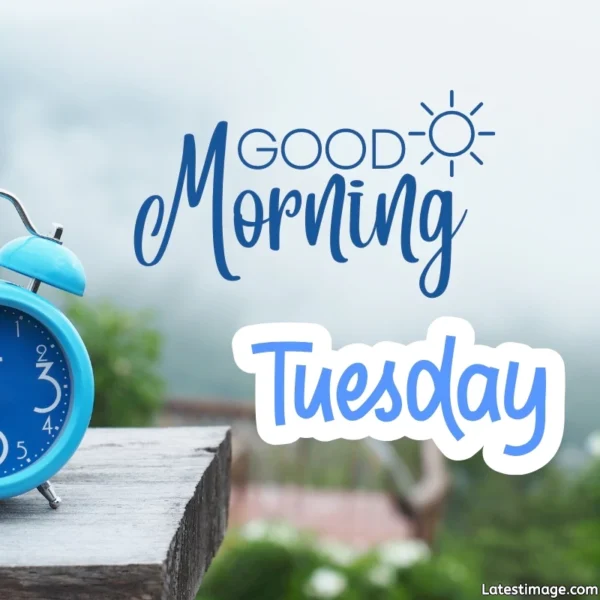 Good Morning Tuesday Image HD