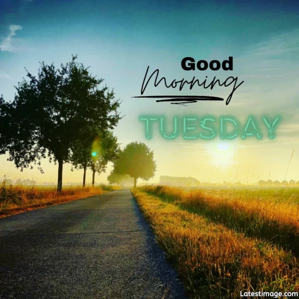 Good Morning Tuesday Picture