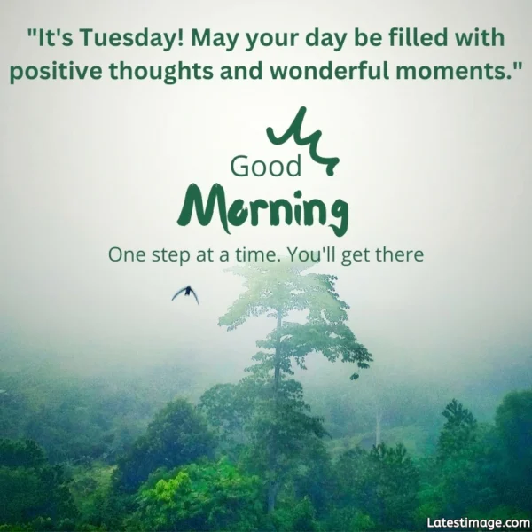 Good Morning Tuesday Quotes Pic