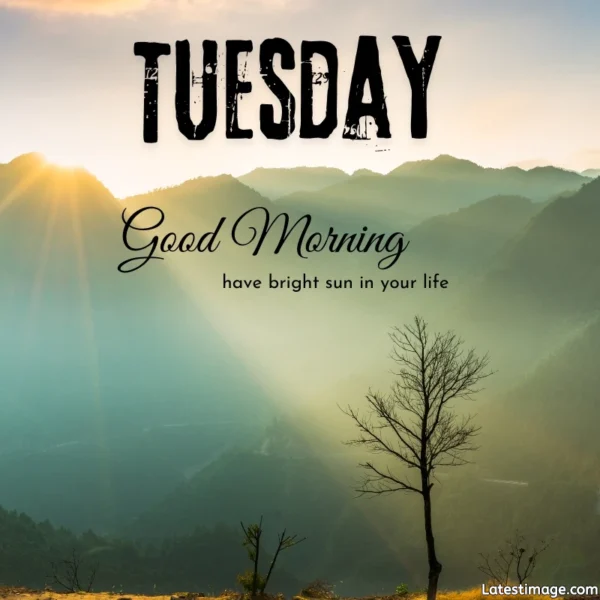 Good Morning Tuesday Images