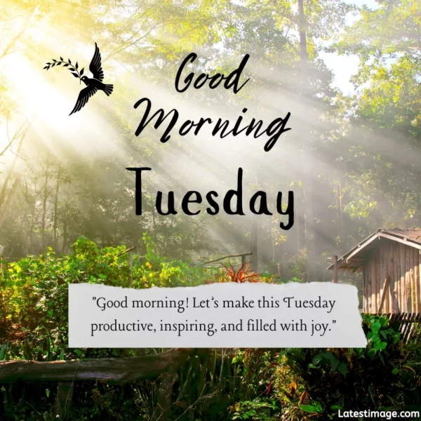 Tuesday Morning Quotes Image