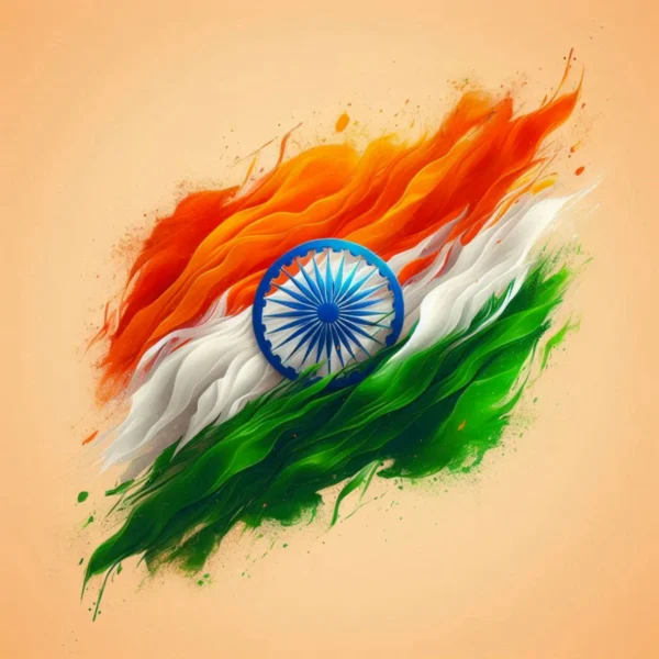 Indian Flag DP 3