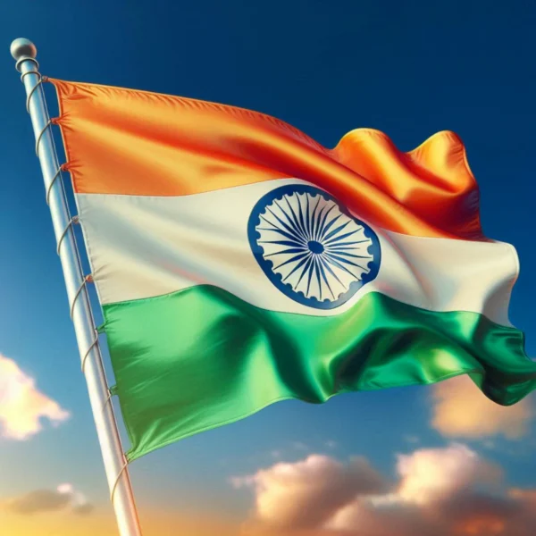 Indian Flag DP 5