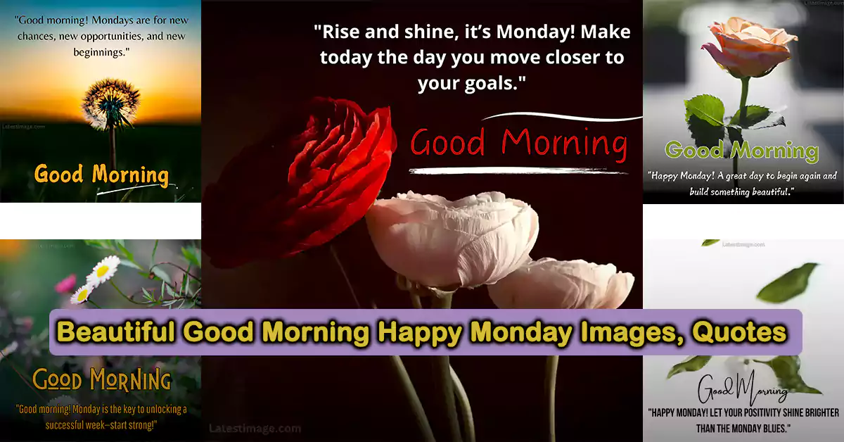 Beautiful Good Morning Happy Monday Images With Quotes