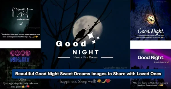 Beautiful Good Night Sweet Dreams Images And quotes For WhatsApp